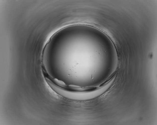 X0000090601532200707241031