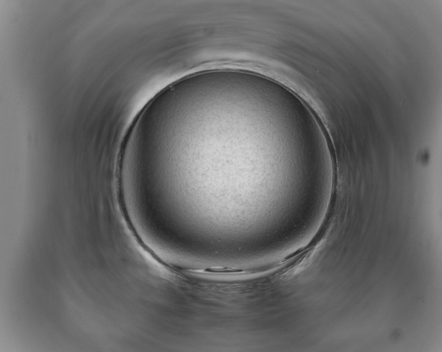X0000090601533200707241031