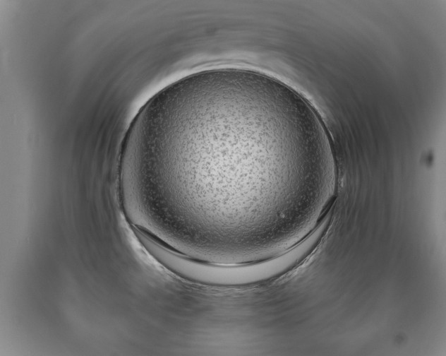 X0000090601534200707241031