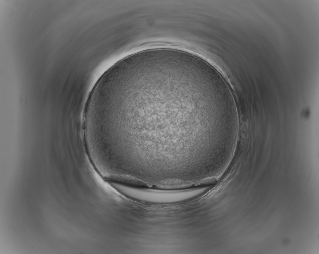 X0000090601535200707241031