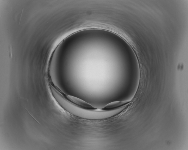 X0000090601536200707241031