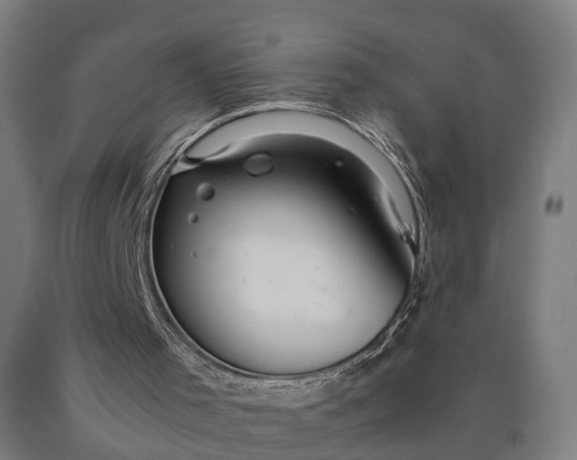 X0000090600001200707311211