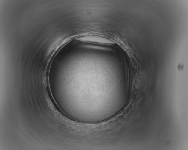 X0000090600002200707311211