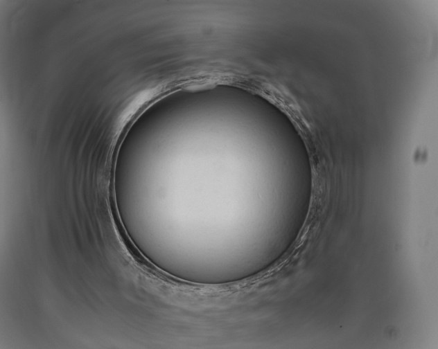 X0000090600003200707311211