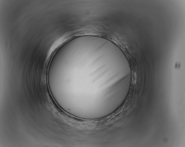 X0000090600004200707311211