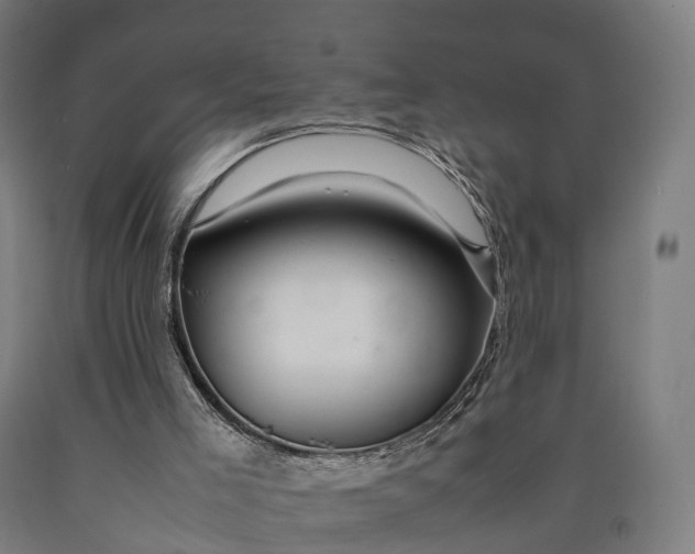 X0000090600005200707311211