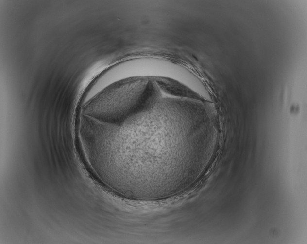 X0000090600006200707311211