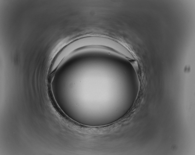 X0000090600007200707311211