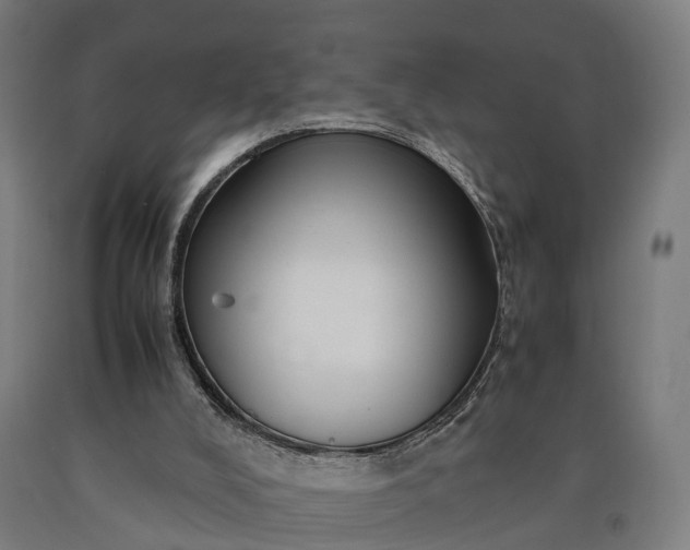 X0000090600008200707311211