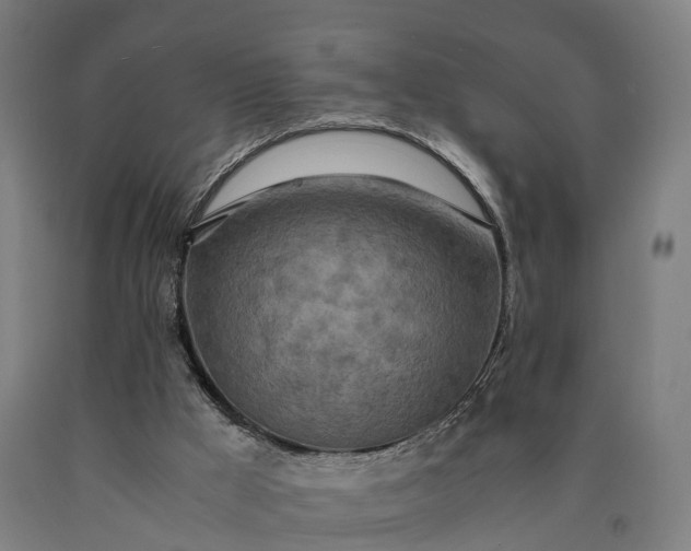 X0000090600009200707311211