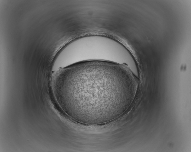 X0000090600010200707311211