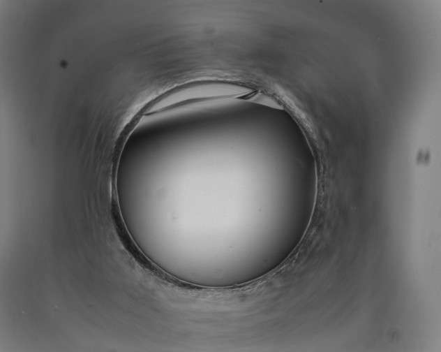 X0000090600011200707311211