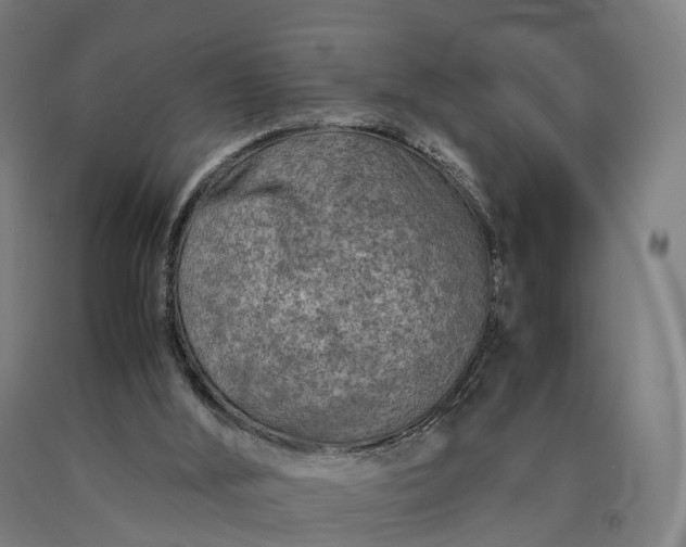 X0000090600012200707311211