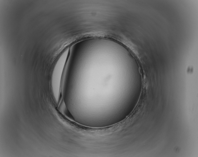 X0000090600013200707311211