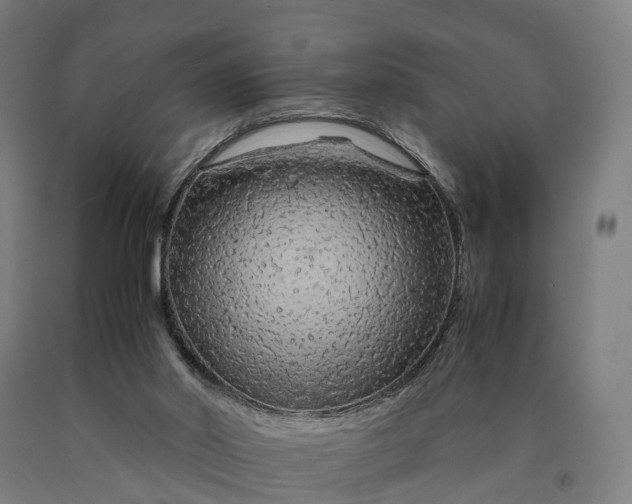 X0000090600014200707311211