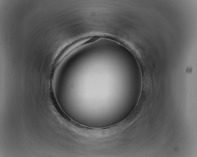 X0000090600015200707311211