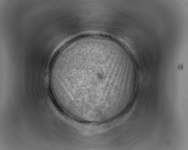 X0000090600016200707311211