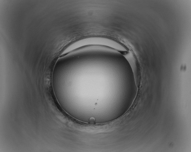 X0000090600017200707311211