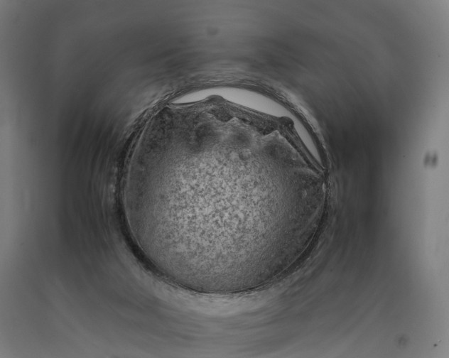 X0000090600018200707311211