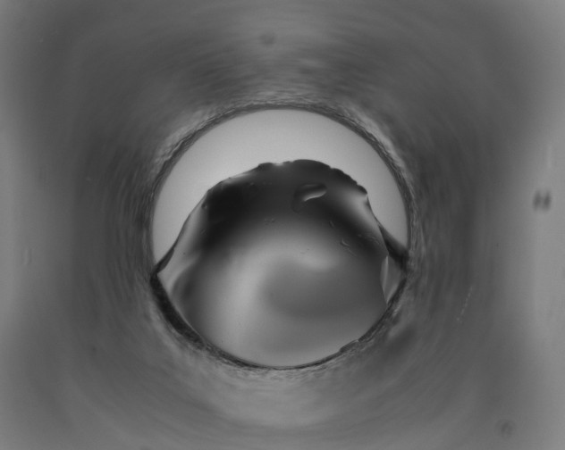 X0000090600019200707311211