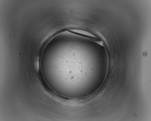 X0000090600020200707311211