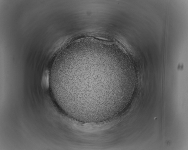 X0000090600022200707311211