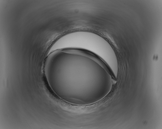 X0000090600023200707311210