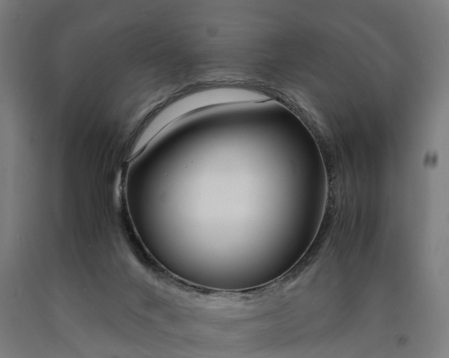 X0000090600024200707311210