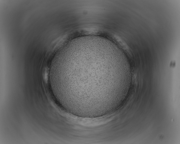 X0000090600026200707311210