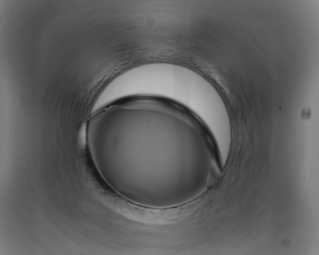 X0000090600027200707311210