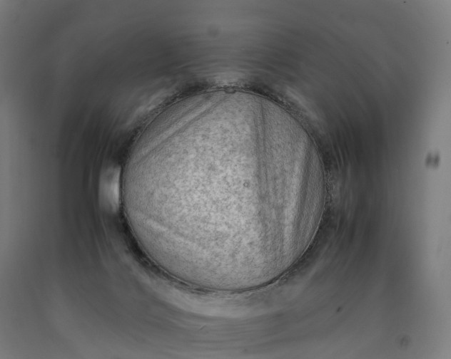 X0000090600028200707311210