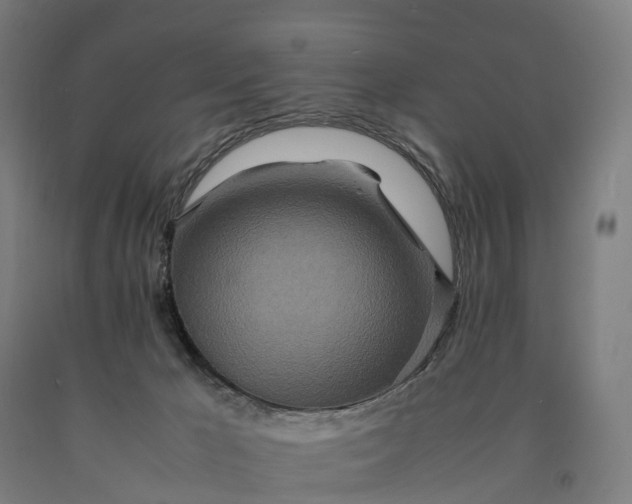 X0000090600029200707311210