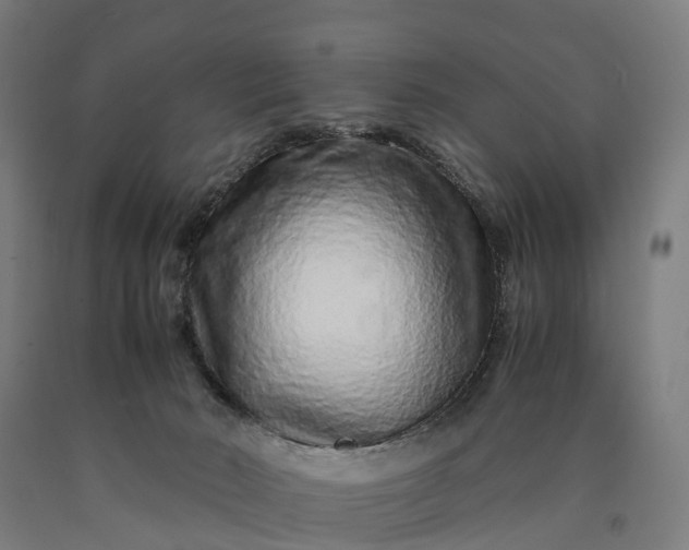 X0000090600030200707311210