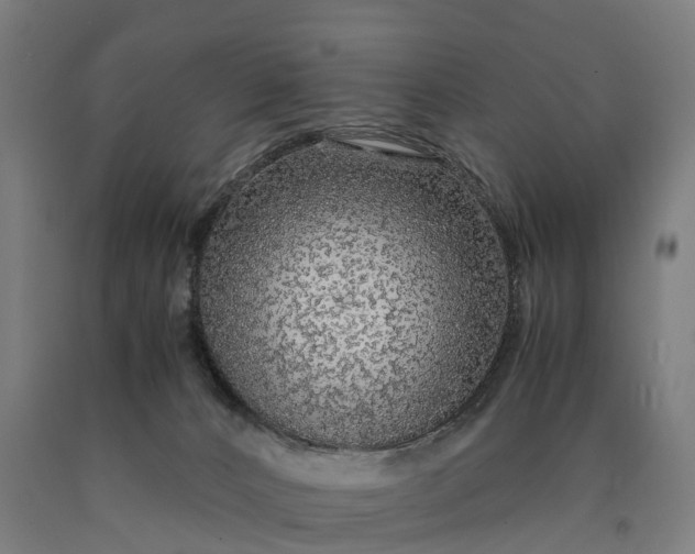 X0000090600032200707311210