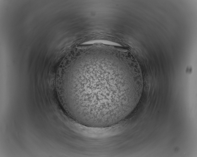 X0000090600034200707311210