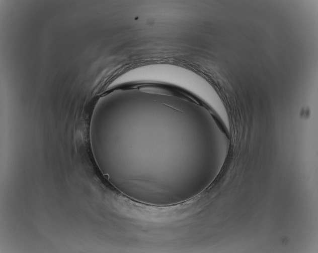 X0000090600035200707311210