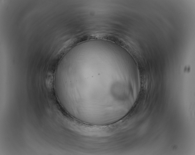 X0000090600036200707311210