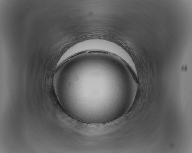 X0000090600037200707311210