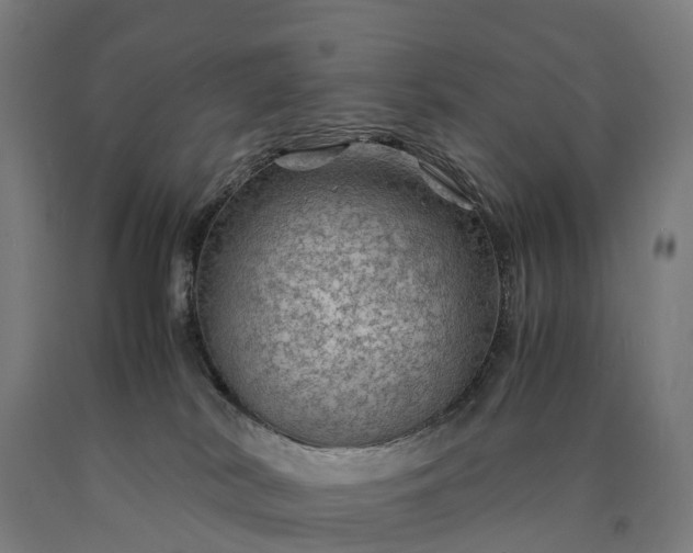 X0000090600038200707311210