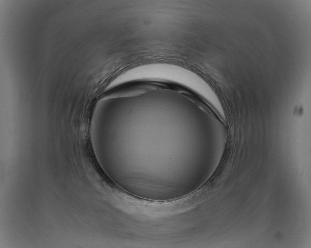 X0000090600039200707311210