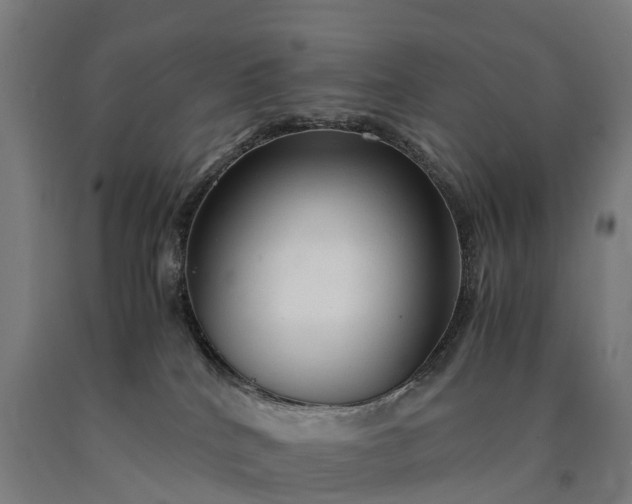 X0000090600040200707311210