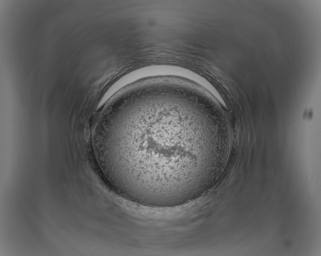 X0000090600043200707311210