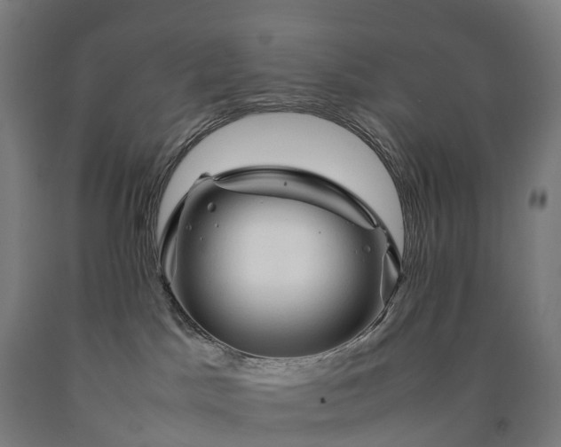 X0000090600045200707311210