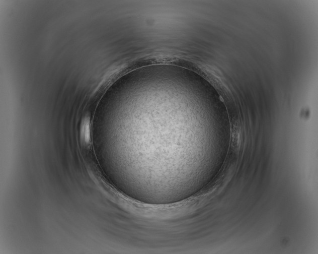 X0000090600046200707311210