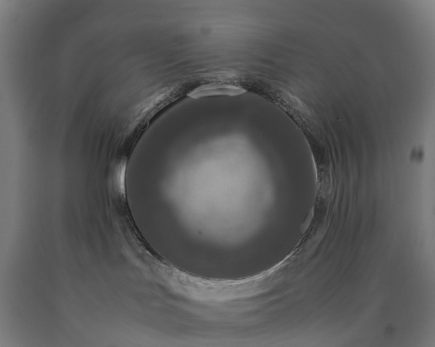 X0000090600047200707311210