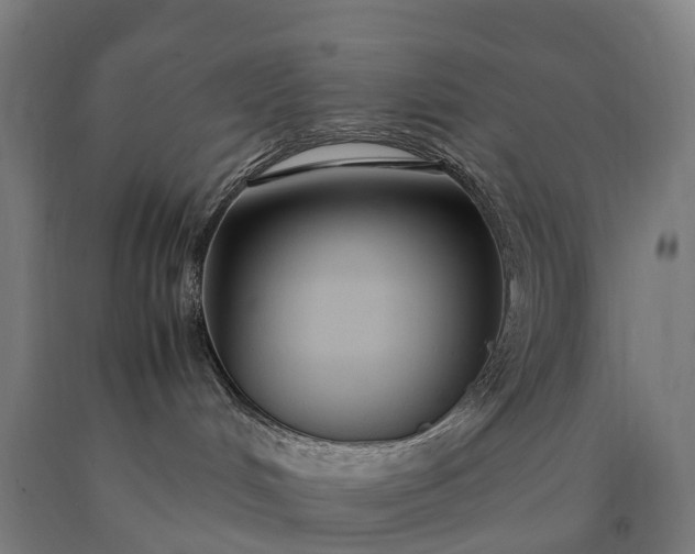 X0000090600048200707311210