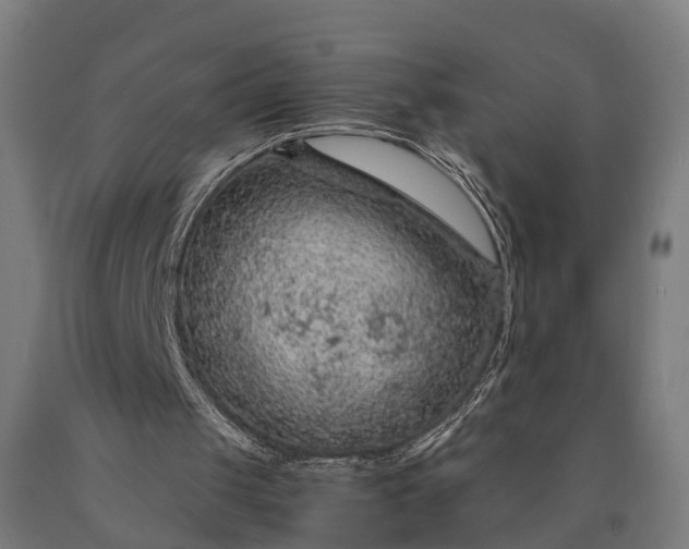 X0000090600049200707311209