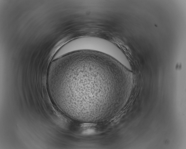 X0000090600051200707311209