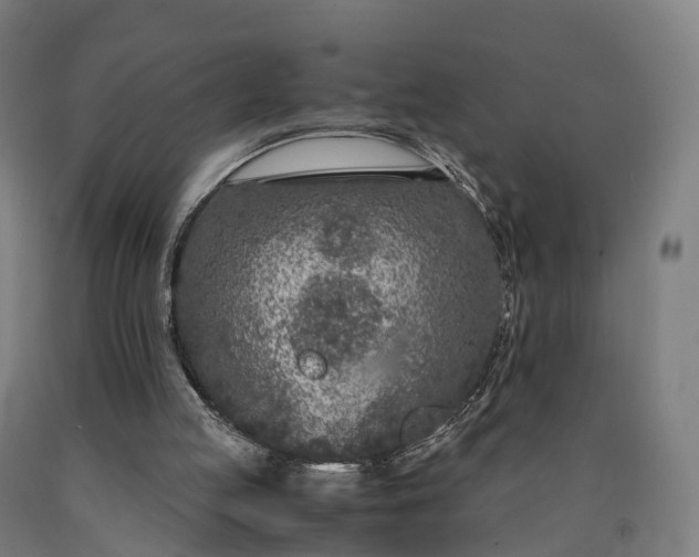 X0000090600053200707311210