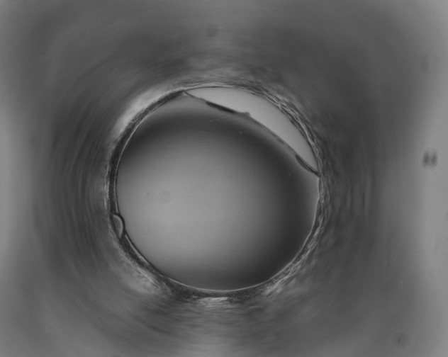 X0000090600054200707311210